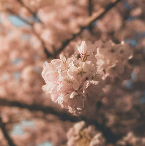 Meet your Posher, Alejandro